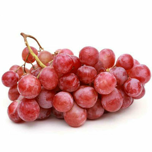 Red Grapes Globe