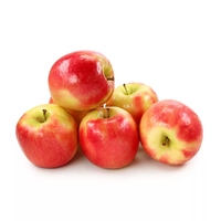 Apple Honey Crisp 2lb