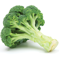 Broccoli (4769198440585)