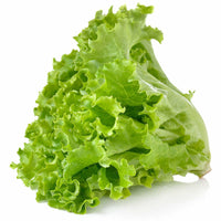 Lettuce green leaf (4769198014601)