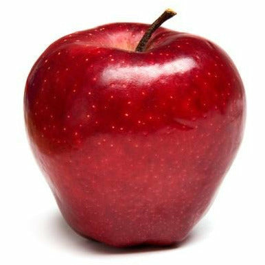 Apple Red Delicious Large