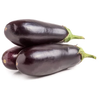 Eggplant (DOM)