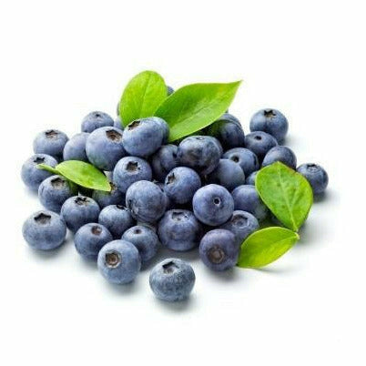 Blueberries 1 Pint