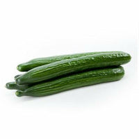 European Cucumber