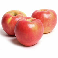 Honey Crisp Apples