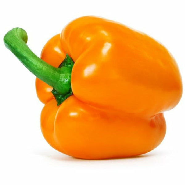 Orange Pepper (DOM)