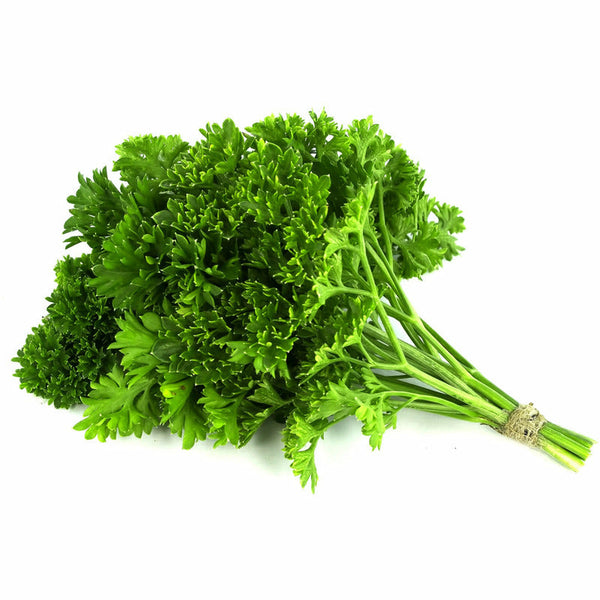 Parsley Curly