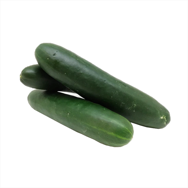 Pepino/Cucumber (DOM)