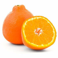 Tangerine Minneola Jumbo