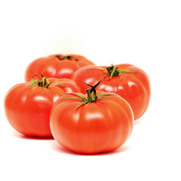 Tomato Salad (DOM)
