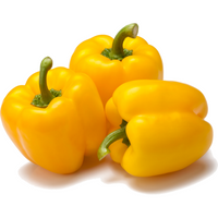 Yellow Pepper (DOM)