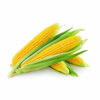 Yellow corn on the cob