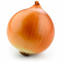 Yellow Medium Onion