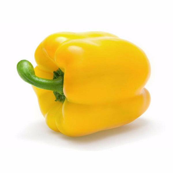 Yellow Pepper Gourmet