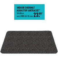 Indoor Doormat Aquastop Antraciet