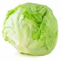 Iceberg Lettuce